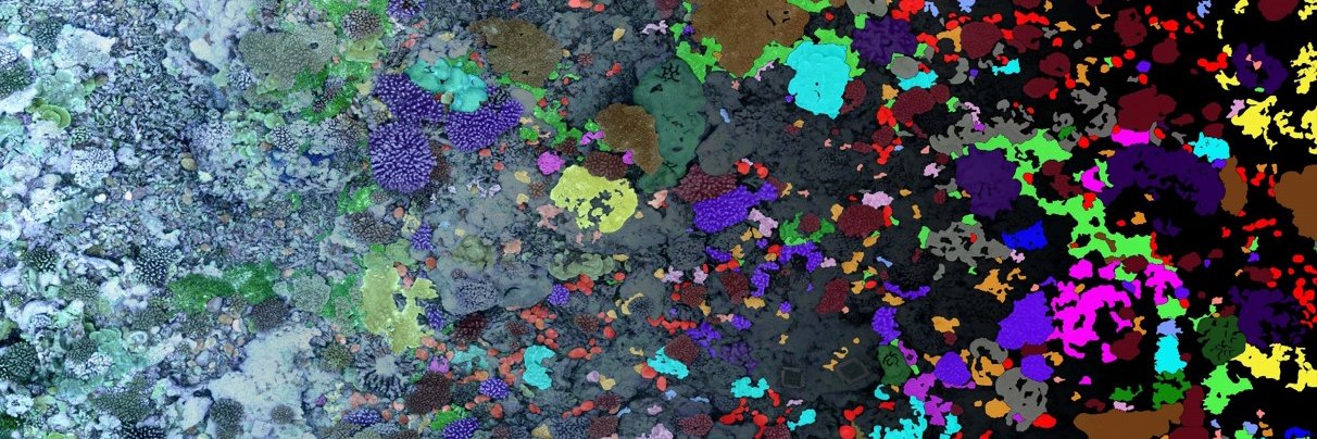 100 Island Challenge banner