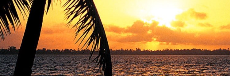 taylorwertheim's profile banner image