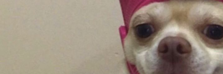 n3ssa_p's profile banner image