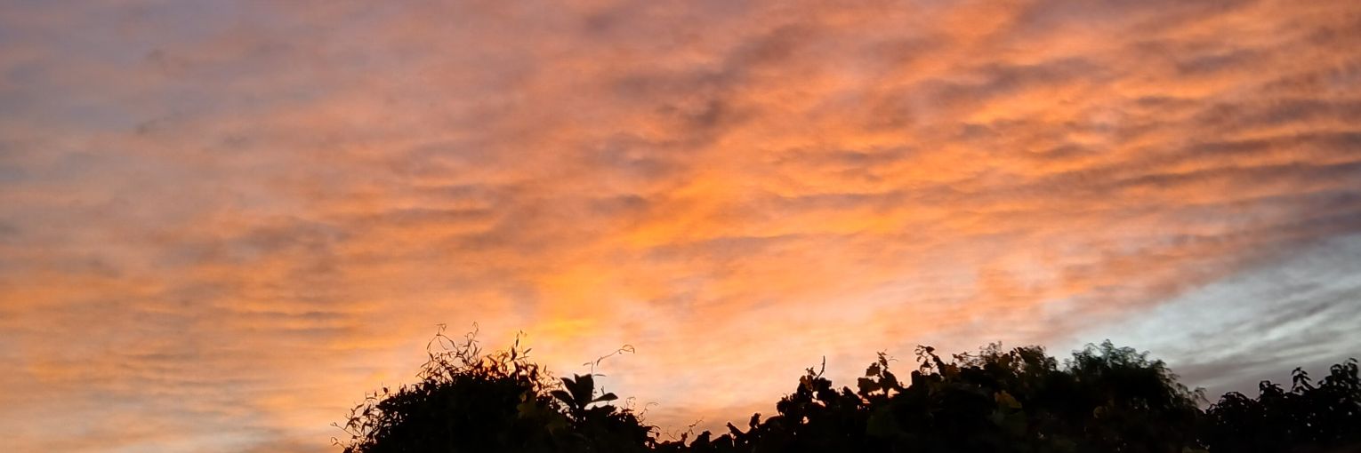 lourds_03's profile banner image