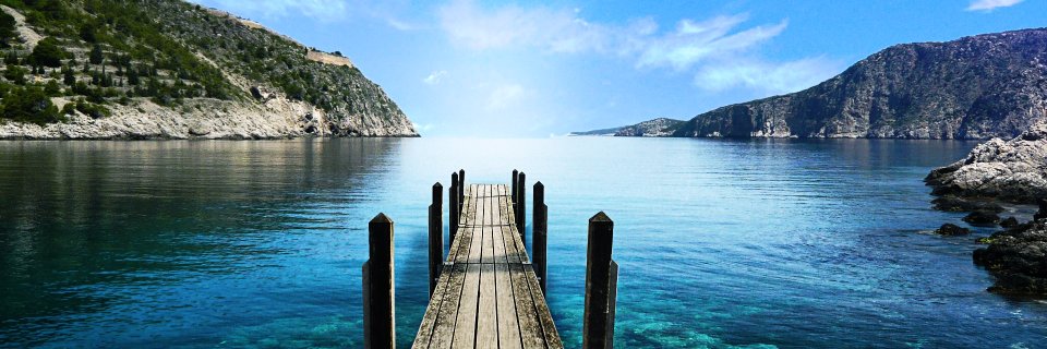 Kelly DiPaulo banner