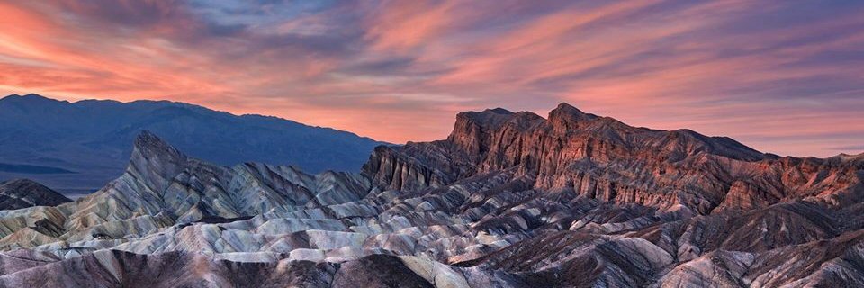 olivo568's profile banner image