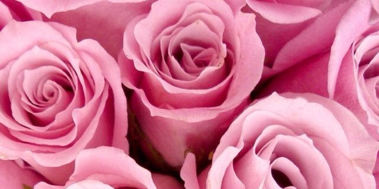 MissCass7's profile banner image