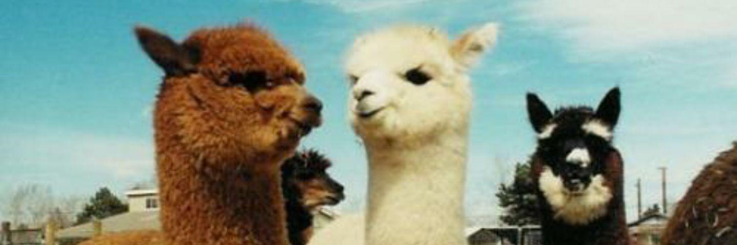 ItsOnlyMeJp's profile banner image