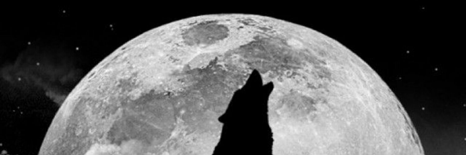 chandrawij's profile banner image