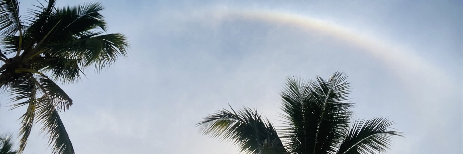thiararaujo's profile banner image