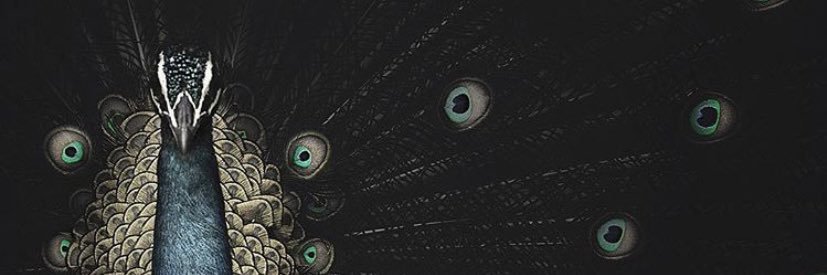 1fernigel1's profile banner image