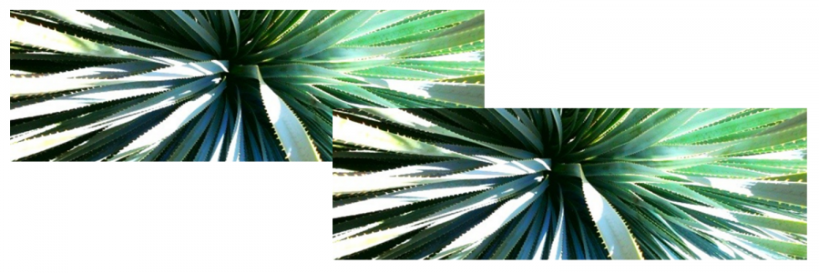 ethantrtgdr's profile banner image