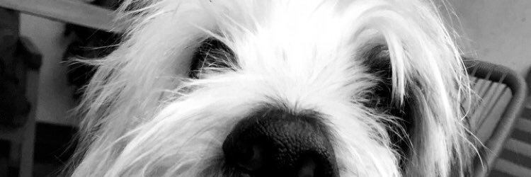 mdmem_'s profile banner image
