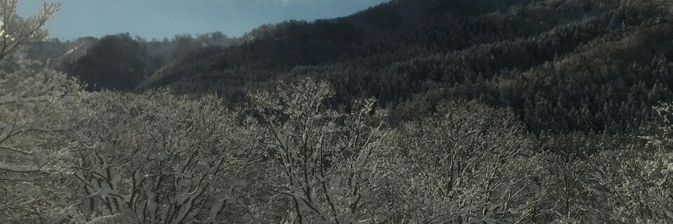 wangverna1987's profile banner image