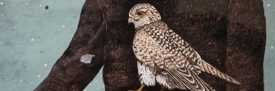 carathebruce's profile banner image