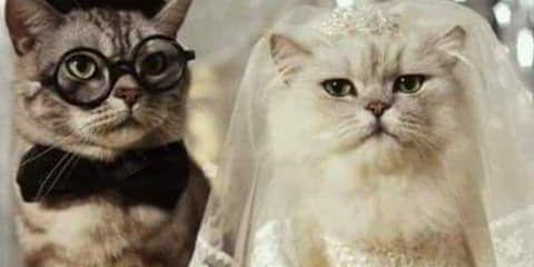 MarqAlyssa's profile banner image