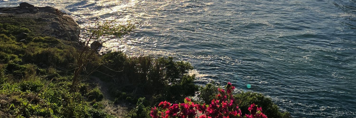 Dr. Poucas Ideias banner