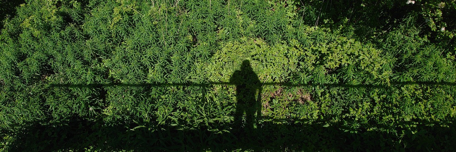 P3K | Petrified activist full of woe banner