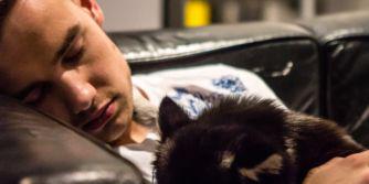 daaywarrior1D's profile banner image