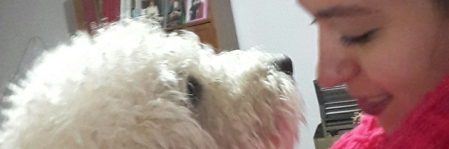 FlafluTomas's profile banner image
