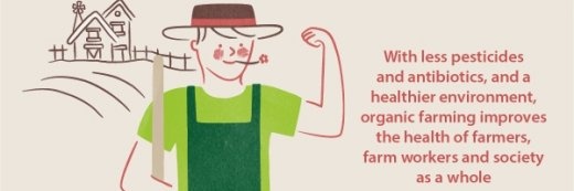 Marcelo Moraga 🐞🚜🐺🌻 banner