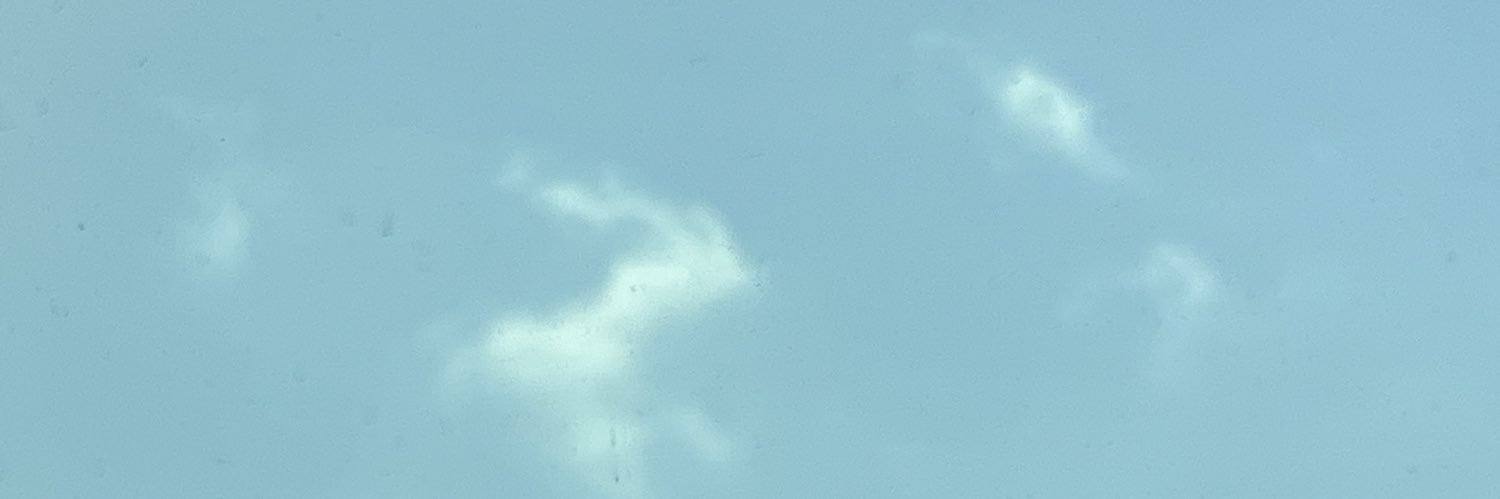 PpingSalisa's profile banner image