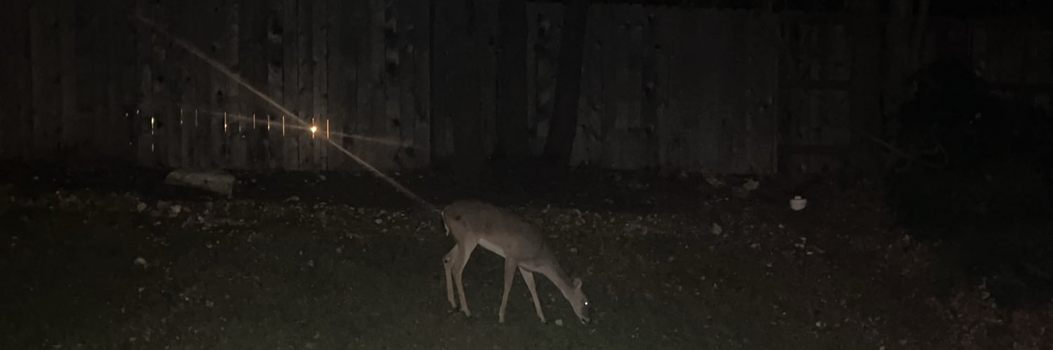 gibbonfreak 🐟 banner