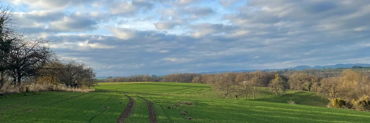 NiklasUllrich's profile banner image