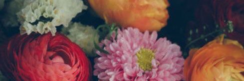 mcbethcoop's profile banner image