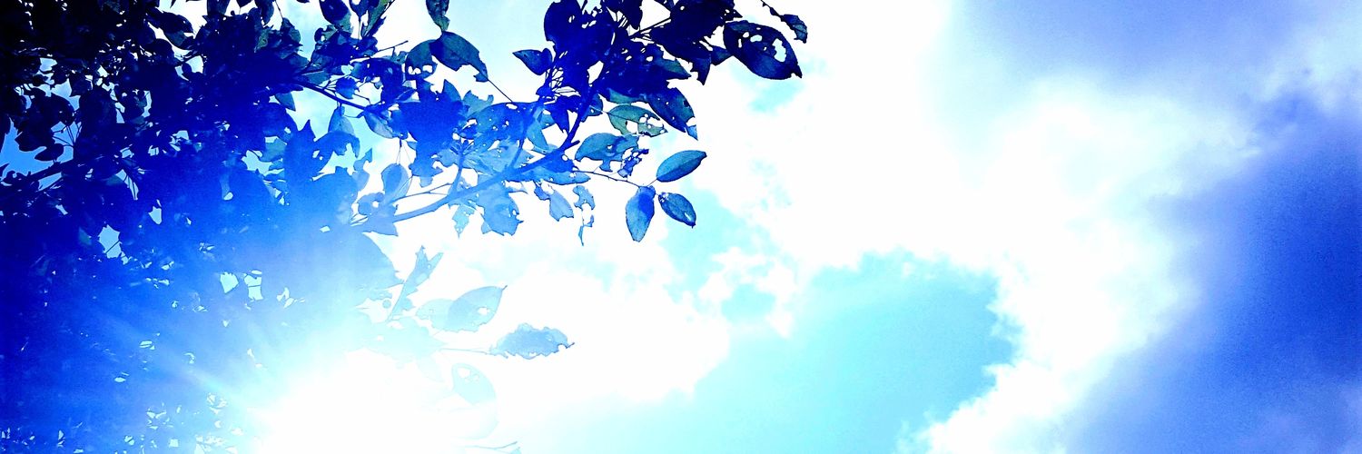 scully2014's profile banner image