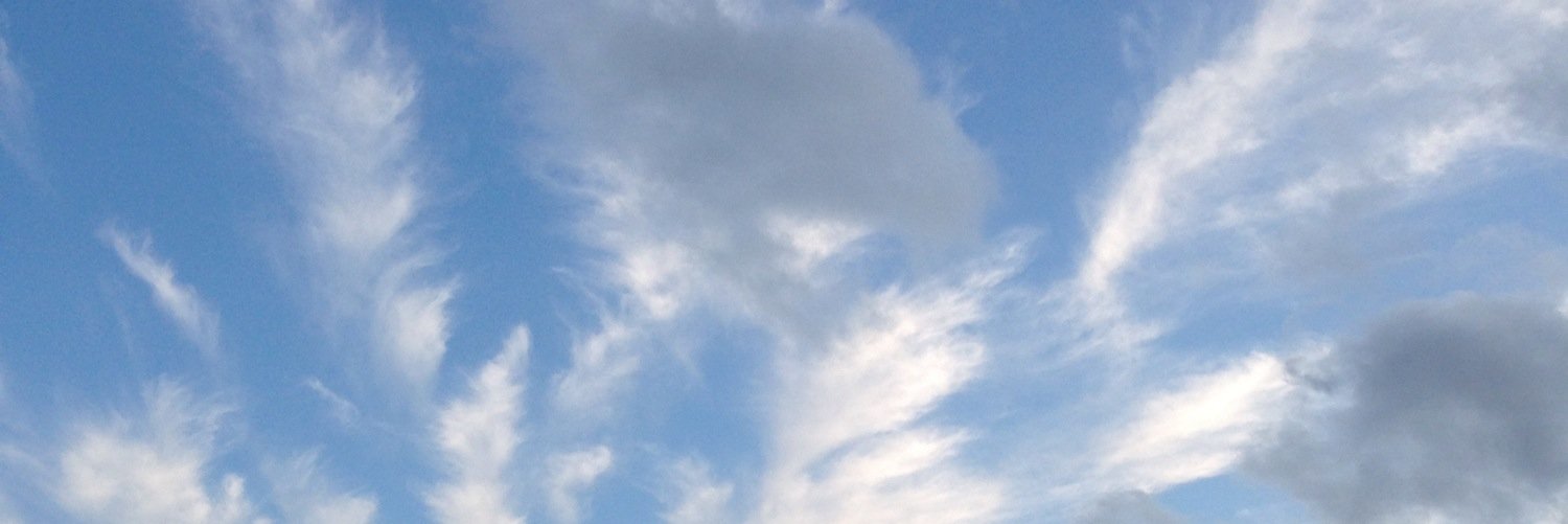 LeachMartln's profile banner image
