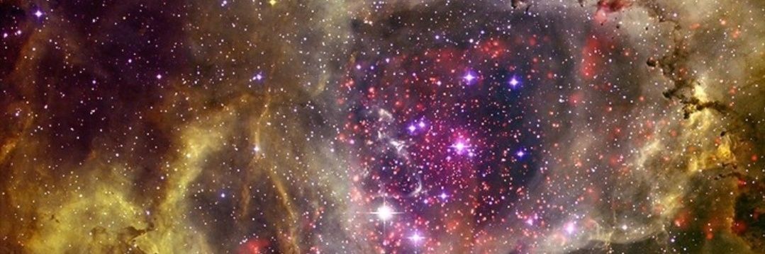 Grok Yourself 🛸 banner