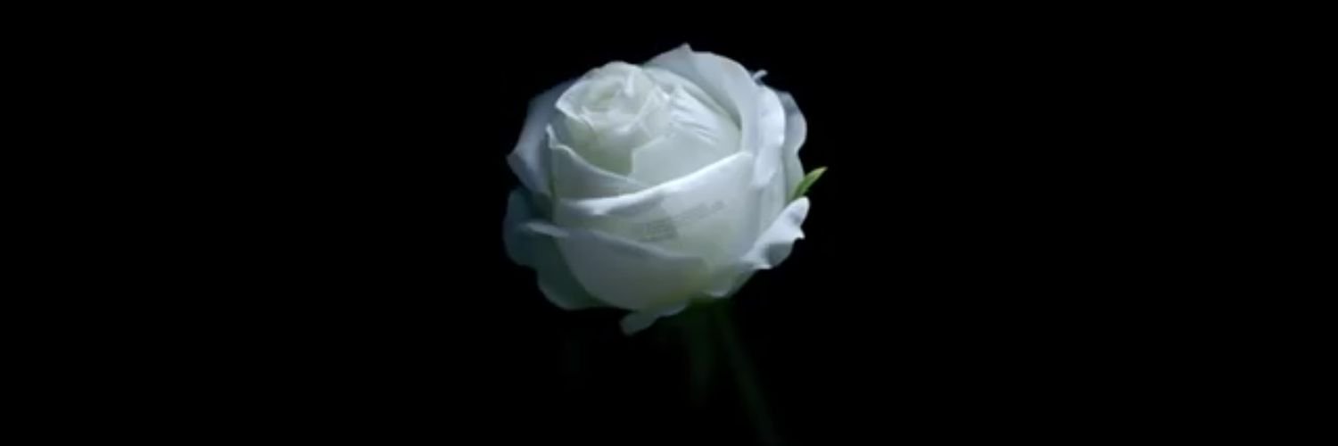 luisramos822's profile banner image