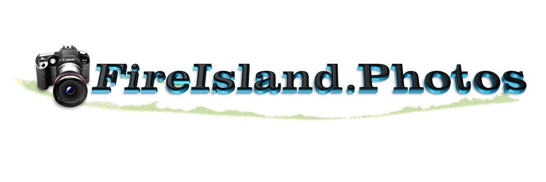 FireIslandPhoto's profile banner image