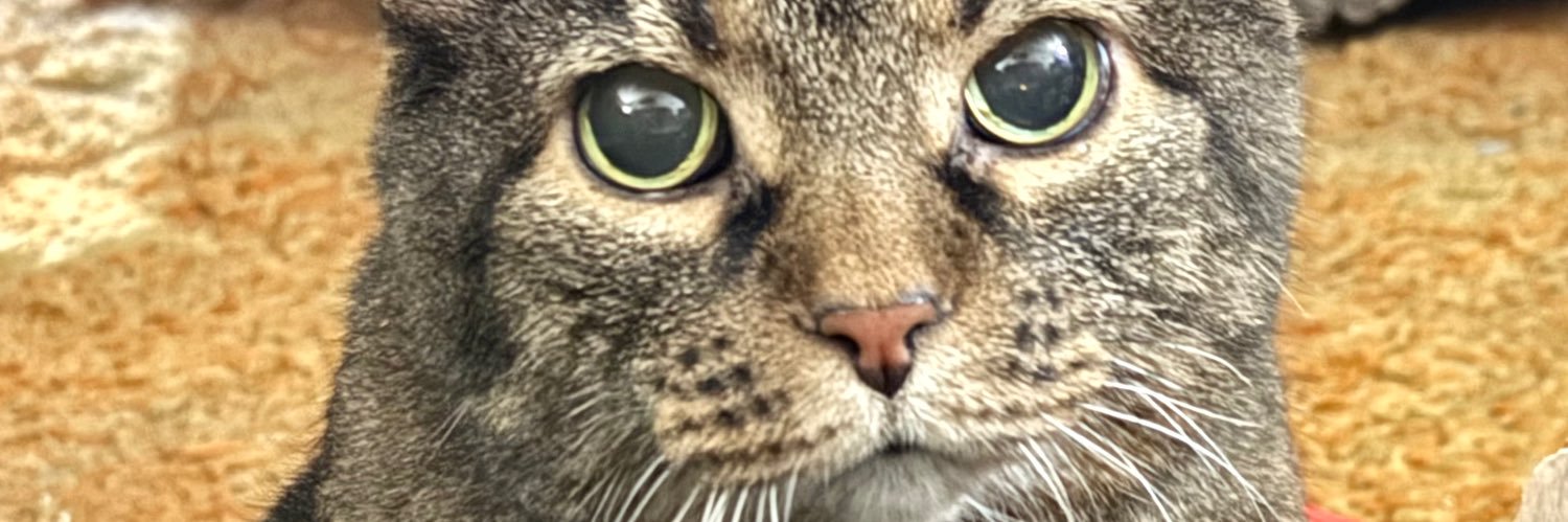 Luther banner