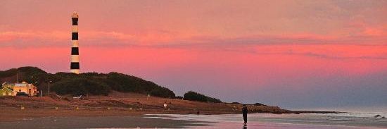 chancho_feoo's profile banner image