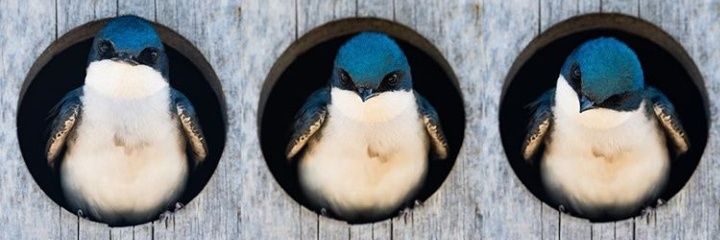 mayacoutza's profile banner image