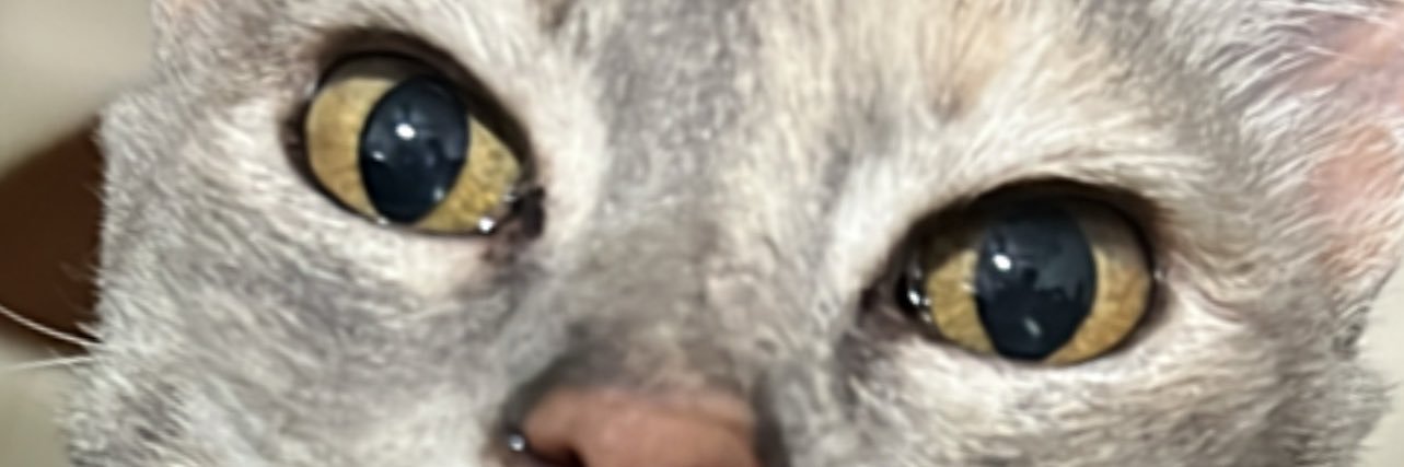 anttoesp's profile banner image