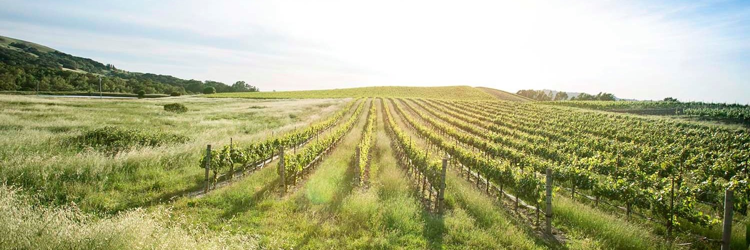 beldenbarns's profile banner image
