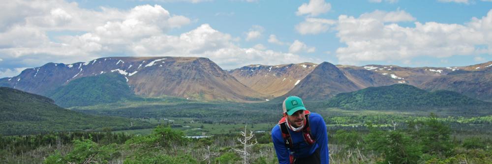 Steve Wheeler banner