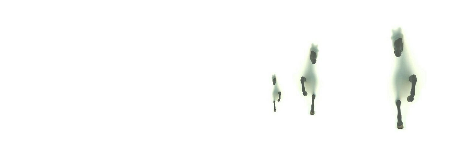 eduardofriasc's profile banner image
