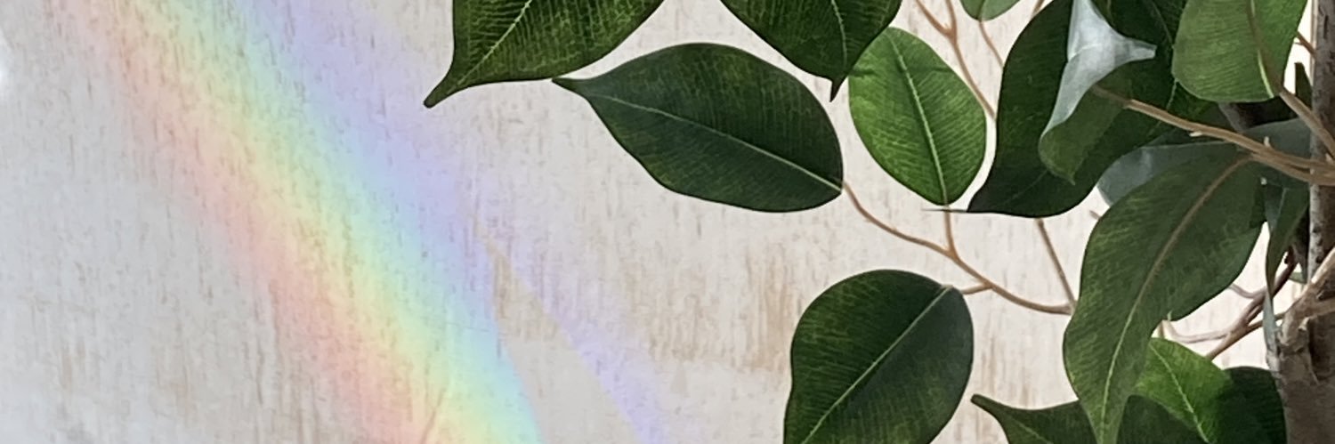 valealpuchecst's profile banner image