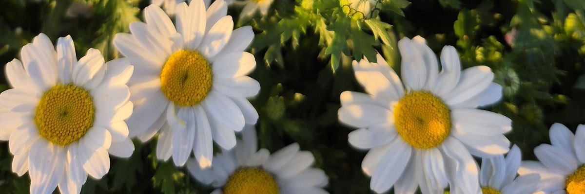 missgotaway's profile banner image