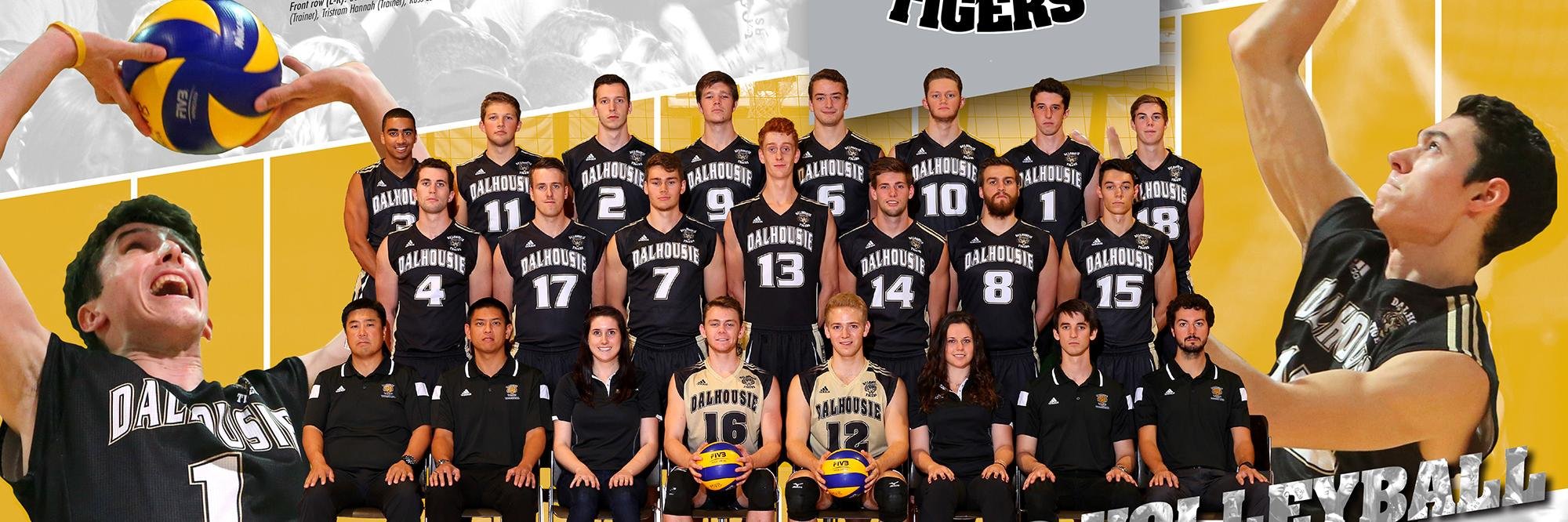 danotigers's profile banner image