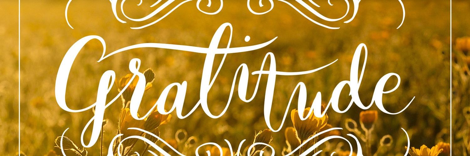 farida_biao's profile banner image