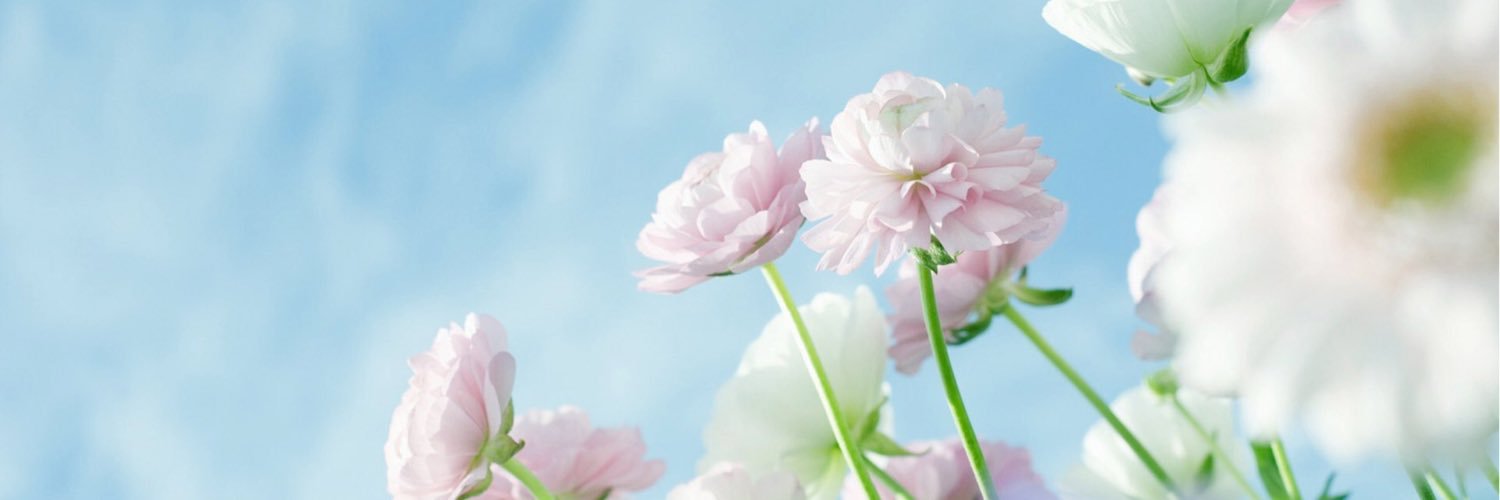 panepanpon's profile banner image