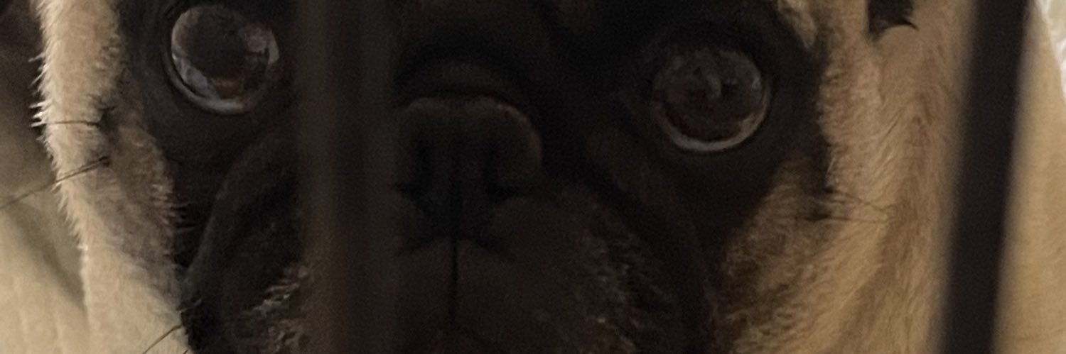 MasVrgn's profile banner image