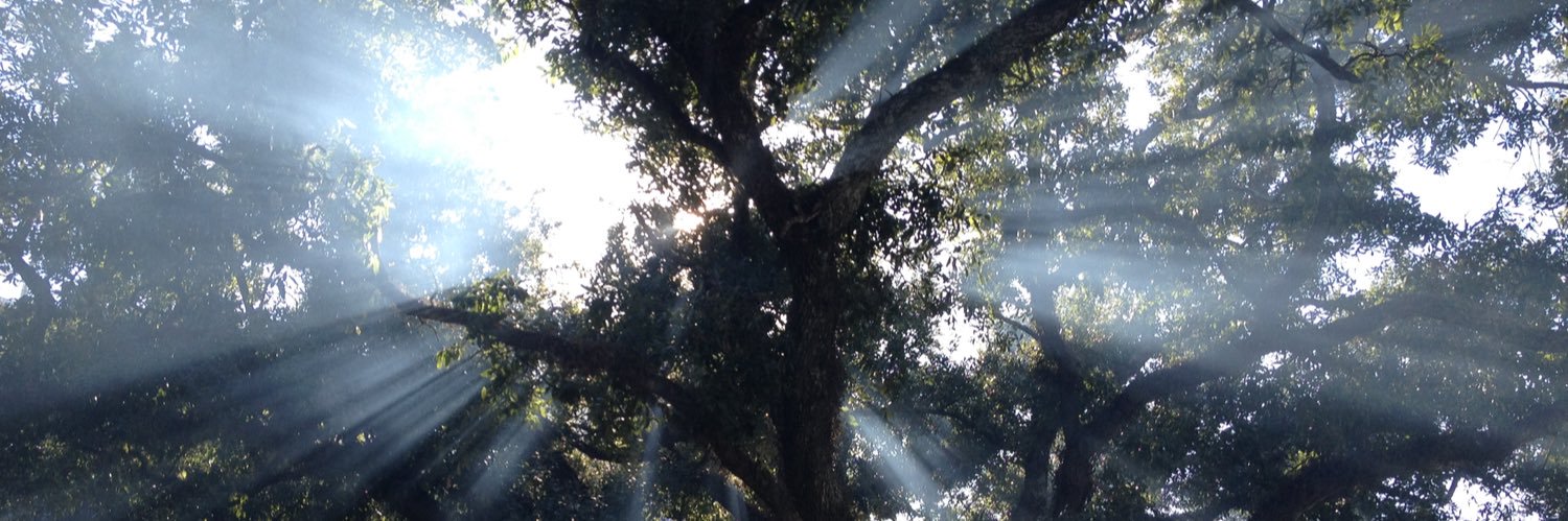 parkersay's profile banner image