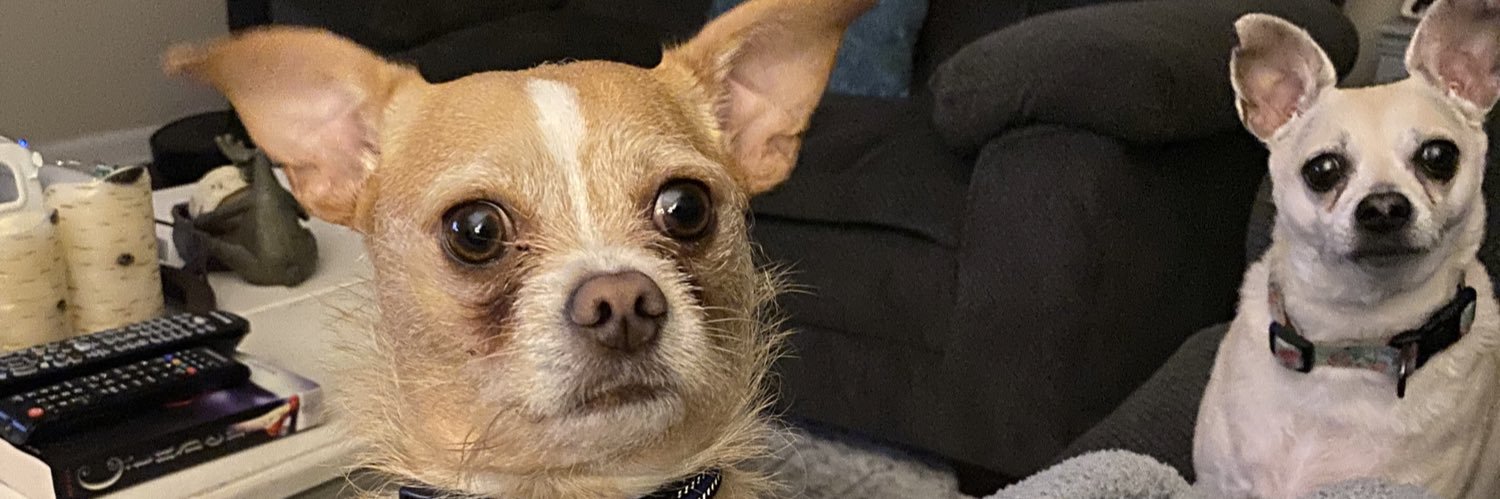 tlogan01's profile banner image
