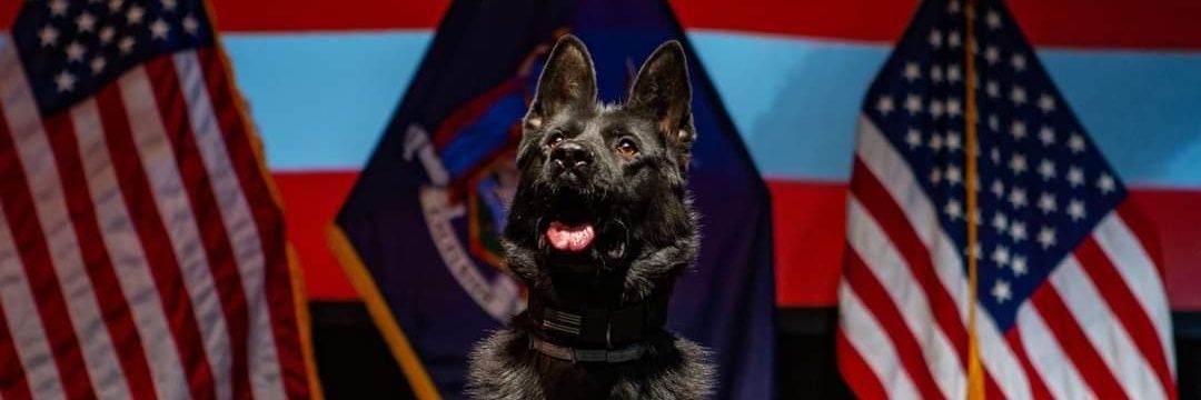BobCourtenay's profile banner image