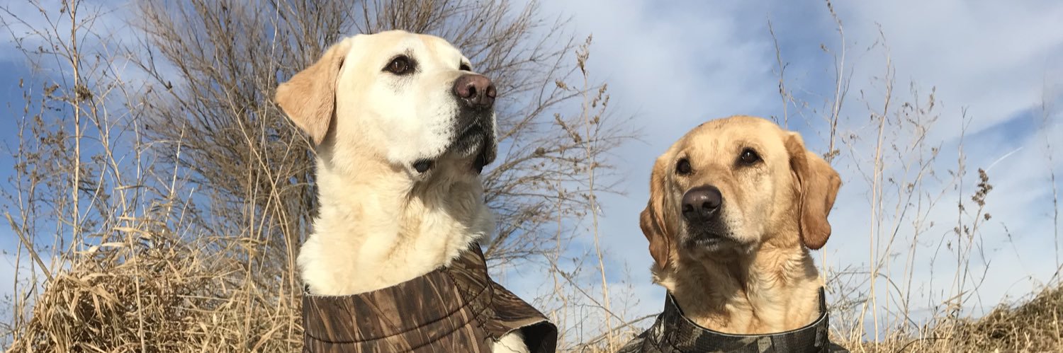 bobrummels's profile banner image