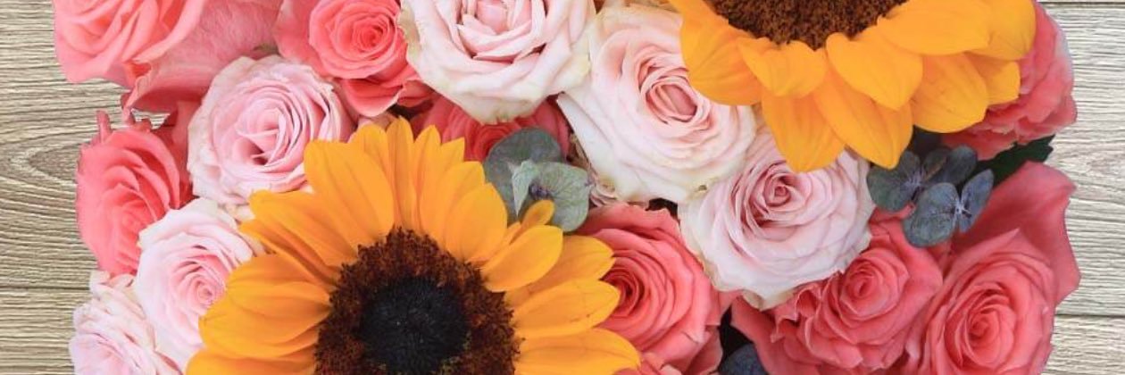 lizethdamacio's profile banner image