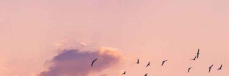 PhAnh0305's profile banner image