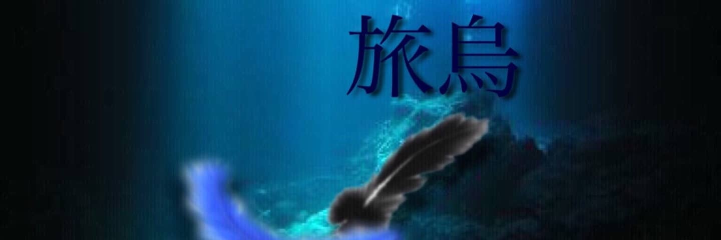 crow_something's profile banner image